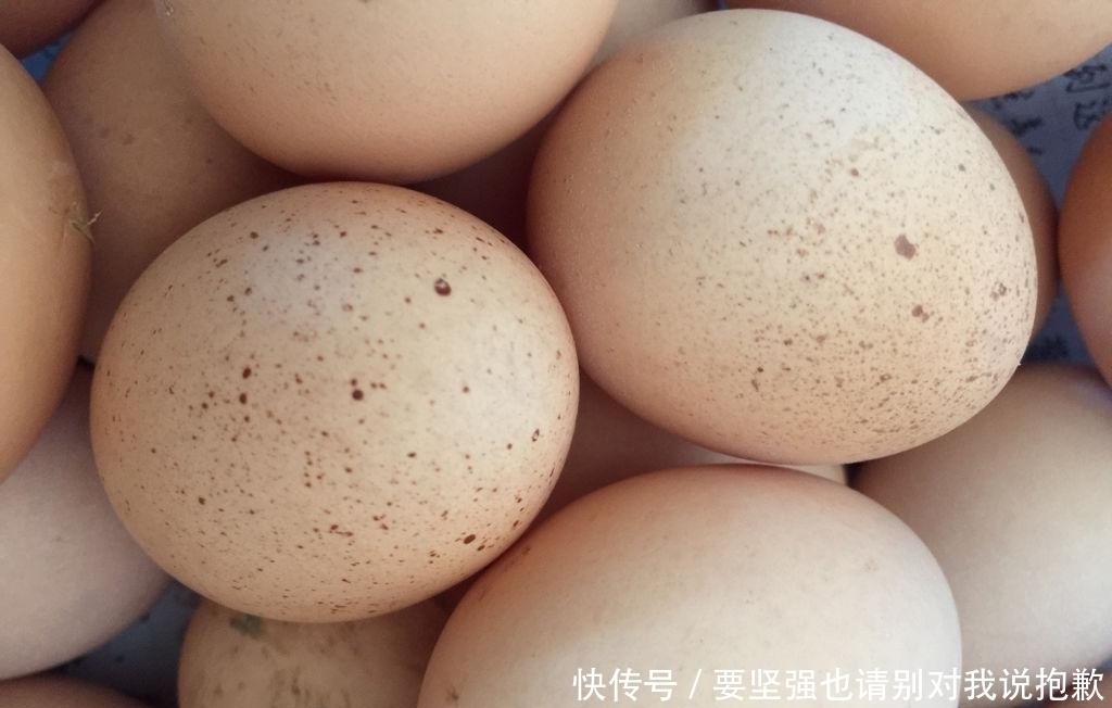 买鸡蛋时,白壳和红壳鸡蛋选哪种好?教你三招,买到好鸡蛋