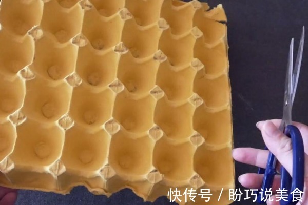 才发现，鸡蛋托盘这么“值钱”！放阳台太厉害了，邻居见了纷纷学