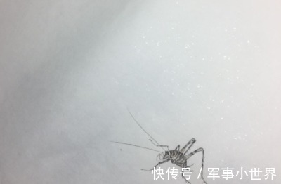 唐李贤&老人说,2022虎年“八人分二饼,六屠共三猪”有道理吗