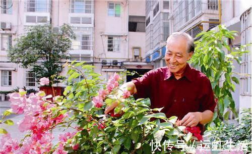 茉莉花|螨虫、细菌最“厌恶”的3种花,赶紧养1盆,烦恼“消除”身体棒