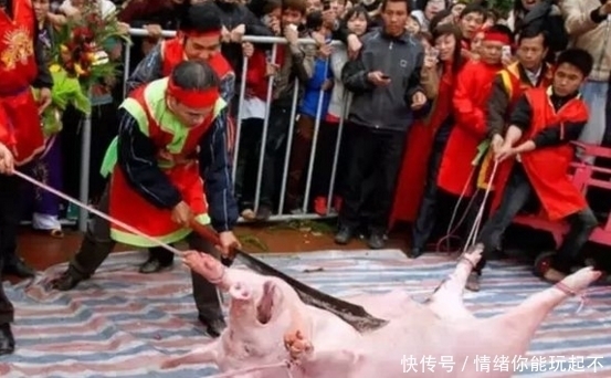 人性|各国杀猪对比,中国讲技术,德国有人性,日本人的做法让人看不懂