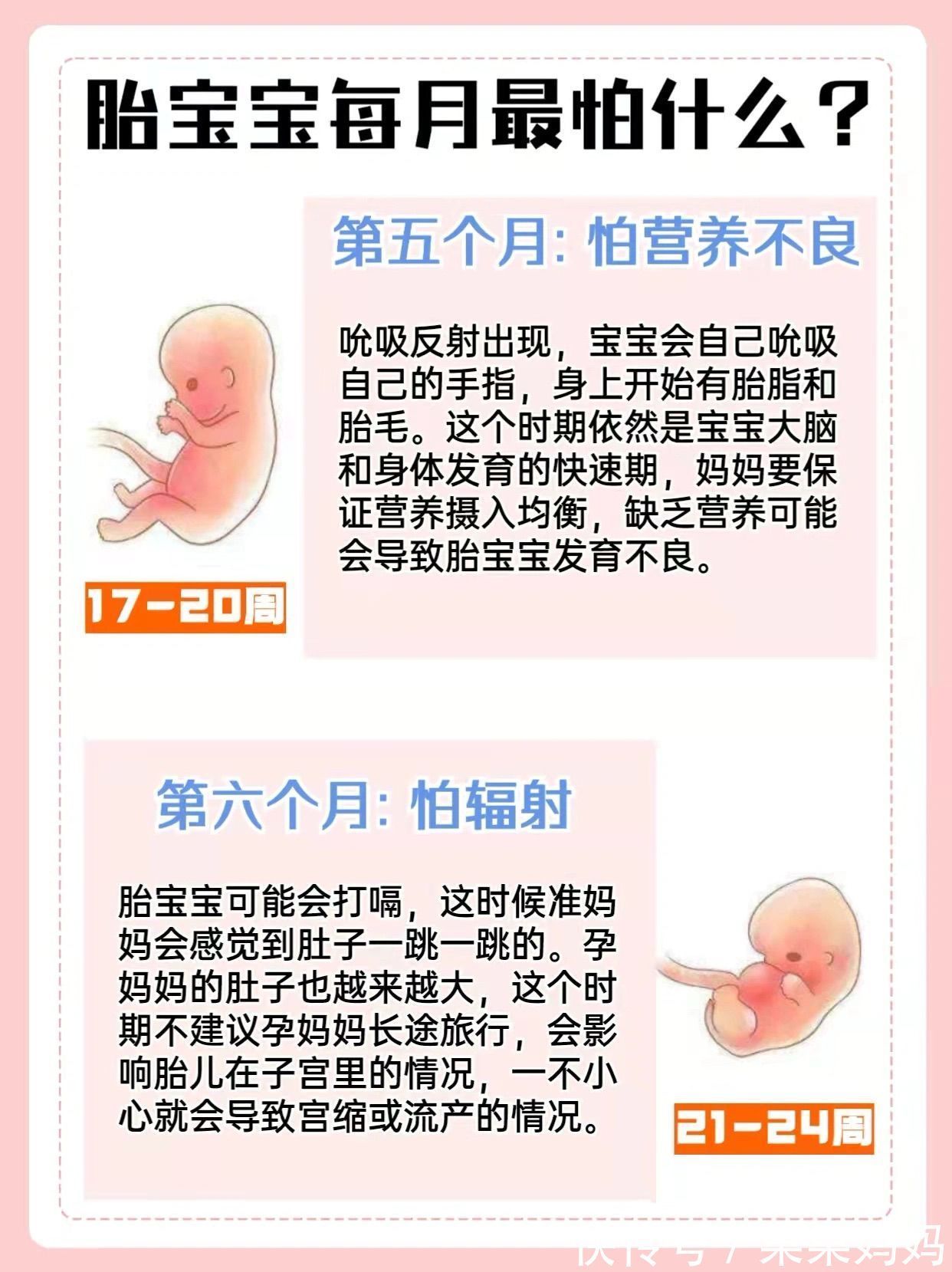 分娩|准妈妈必看孕十月胎儿发育特点及注意事项