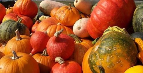 南瓜鲜甜软糯，蛋奶滑嫩爽口，发糕营养美味，这样的甜点超美味的