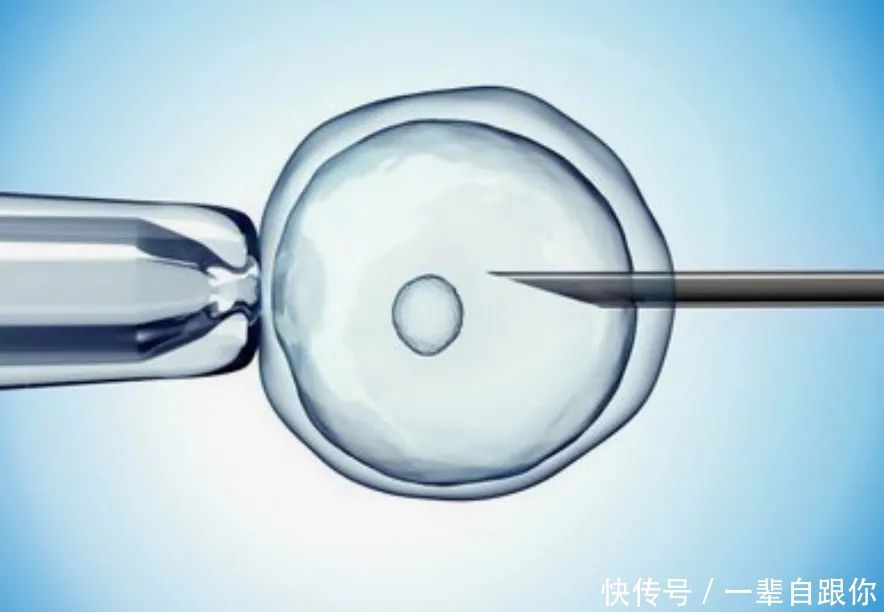 小医生|既然都来试管了还管多囊干嘛别忘了,这些事一定要做