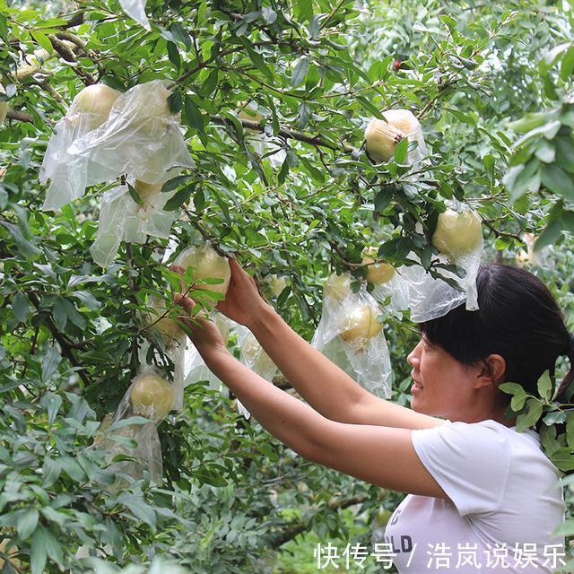 食物|这些食物多吃能预防癌症，你知道吗赶紧试试吧！