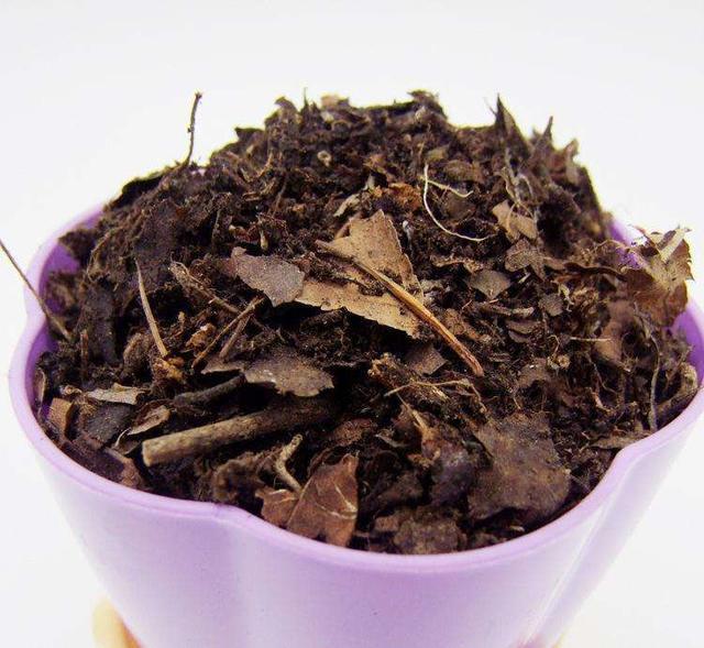 花卉|4种土,宁可扔了也别养花,不然累死也养不好!