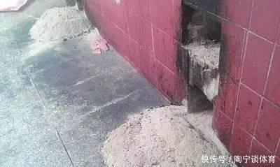 长寿花|什么药片水、黄豆水，都不如家里“2种灰”，养花杀菌灭虫、补肥