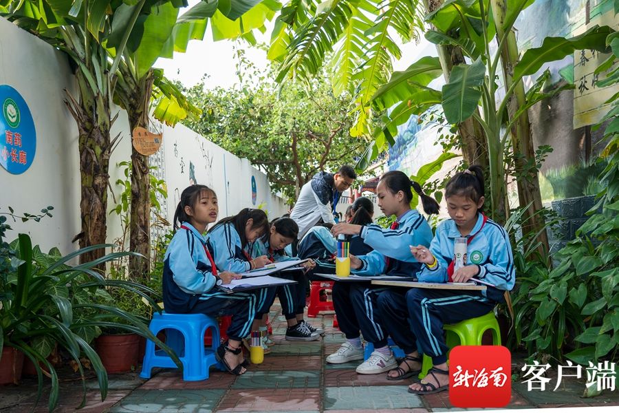 菜地|儋州藤根小学：把课堂搬到菜地 七彩田园课程让孩子快乐学习