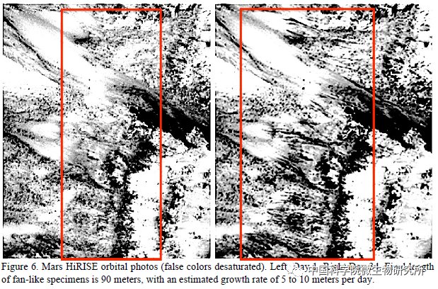 非生物 火星上存在真菌吗？