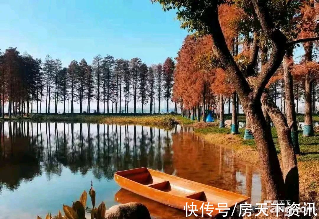 武汉|想看武汉洪山楼盘的最新现场实景，选房一定要看
