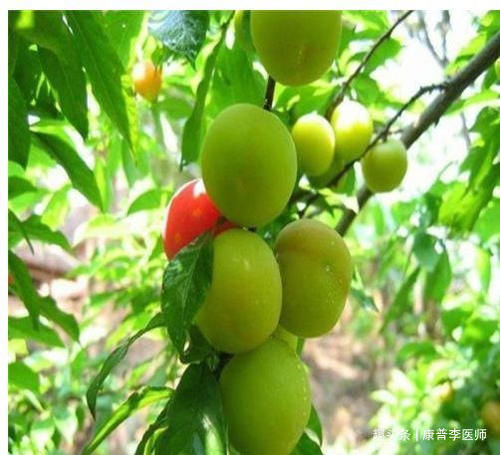 排毒养颜|女性不想满脸皱纹，养生食物多吃点，排毒养颜，提高免疫力，美容