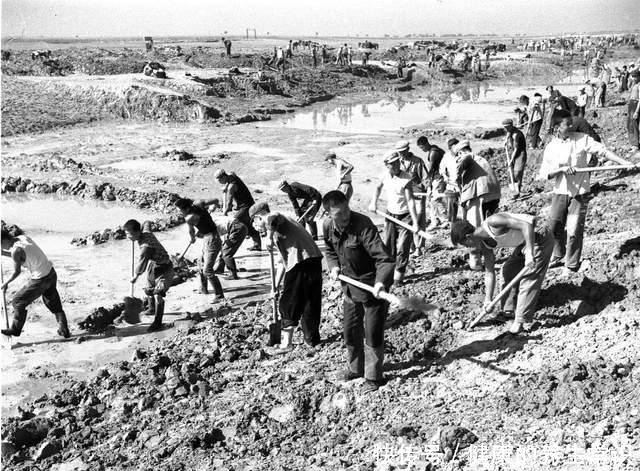 青铜器|文物惊魂24小时国宝青铜器、中国考古超重金兽及郢爰捐献始末