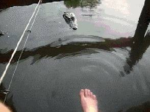 |搞笑GIF趣图：撞衫不可怕，一定要淡定，妹子稳住