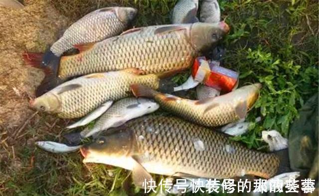饵料|钓鱼中的“独家秘方”,只有民间野钓高手才懂,上鱼多是有原因的