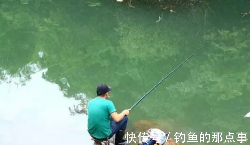 钓鱼看鱼星,帮你判断窝点来了什么鱼