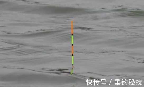 技巧|钓鱼用漂的精髓之谈,实用又省钱的干货技巧