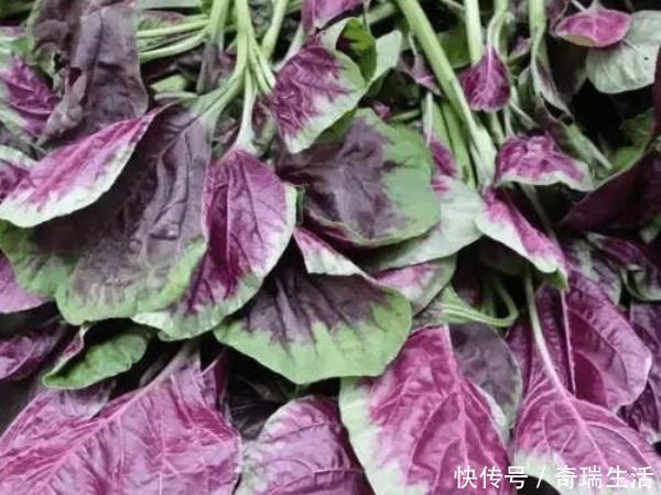 菠菜|女人擔心老的快,抗衰食物吃起來美容養顏、延緩衰老,早吃早好