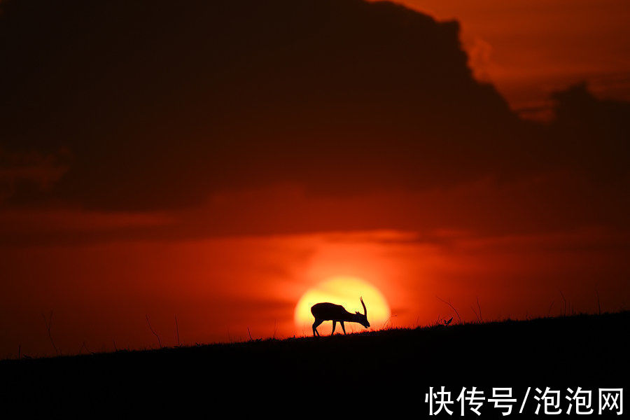 样片|高素质！尼康Z 400mm f/2.8 TC VR S实拍样片