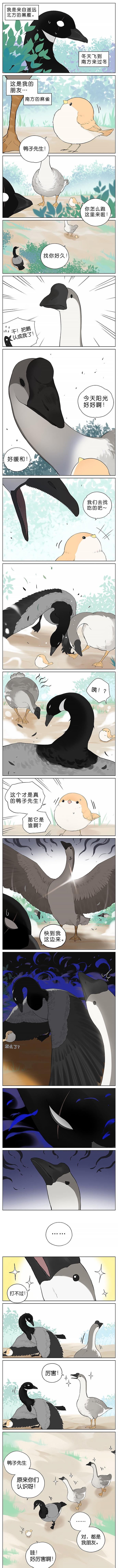 这次|超治愈漫画：这次也是奇怪的CP！