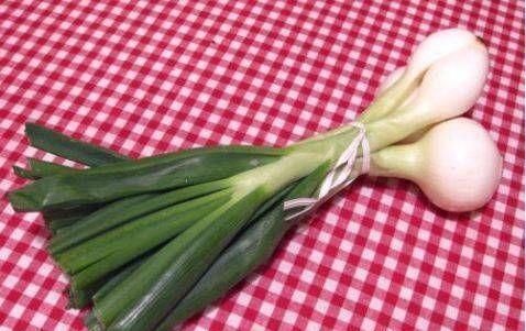 找病|大葱百利但有“一害”,不能和此物一起吃,不要没病找病