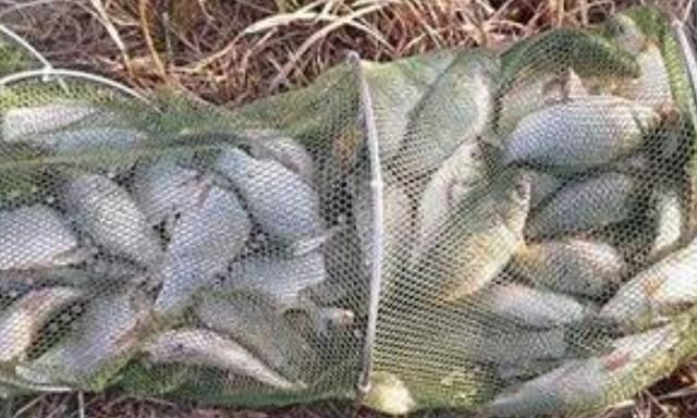 冬钓无口就收竿,难道你没用这3个策略?老钓手:一般人学不来