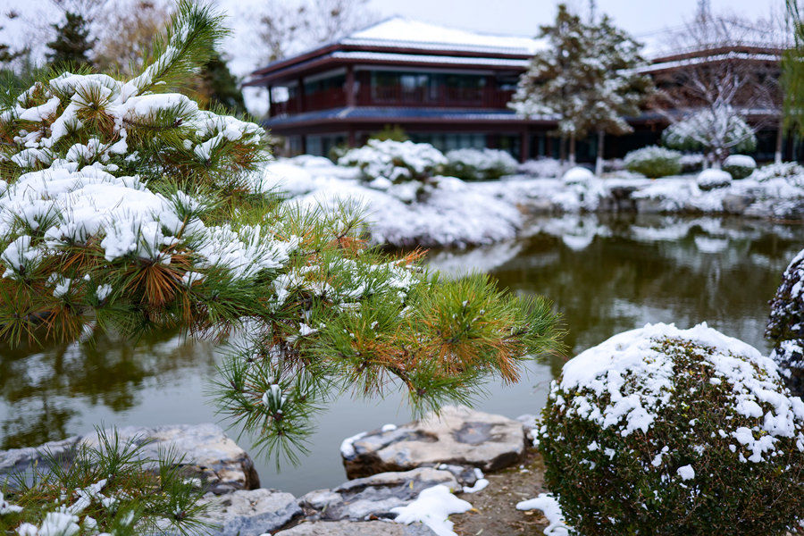 f1.8|F1.8军团全员集结 松下S 35mm F1.8镜头评测