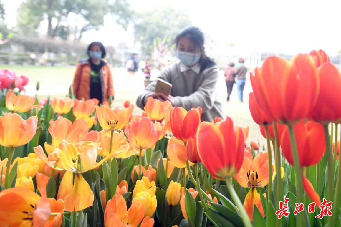 图集|武汉植物园春光无限 | 中年