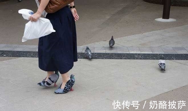 高跟鞋 女子穿着别致高跟鞋,竟引来成群鸽子!
