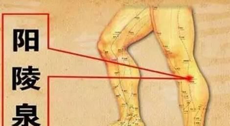 胆经|胆经一通,万病无踪!1个穴位通肝胆,5大疾病全解决