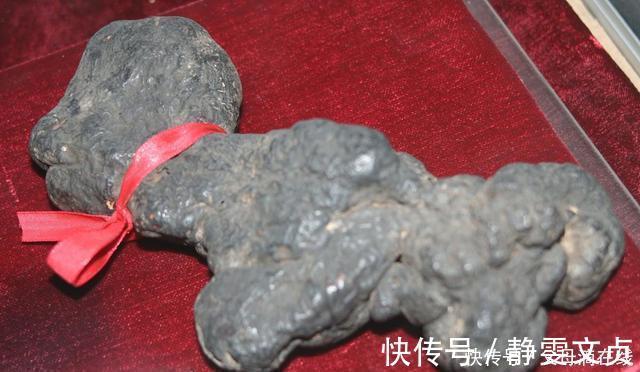 水湿|有一味中药取名不太雅，善于利水祛湿，去湿气诸药“无如此快”