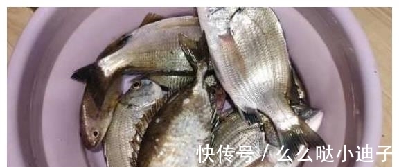 俗称“泥猛鱼”,腹内有臭味,以前不上大席,现在一斤能卖60元