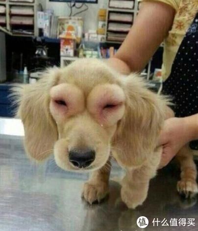 13年前做的双眼皮到现在还好吗？双眼皮带给我的变化