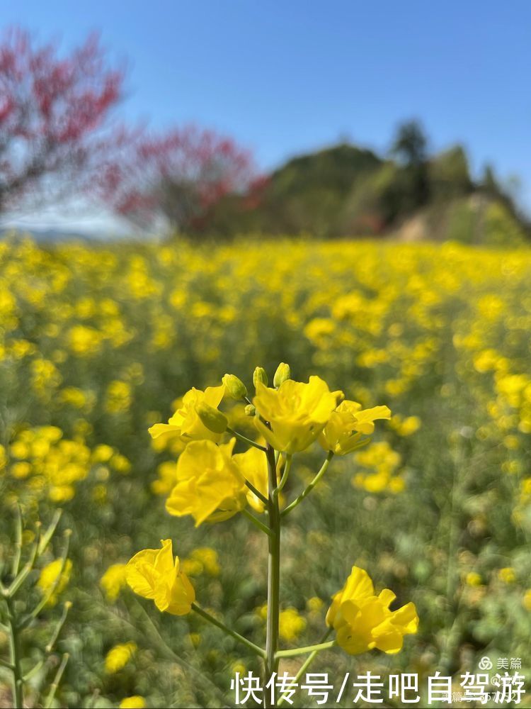 石潭|自驾安徽歙县，徒步游览安徽歙县石潭的美景