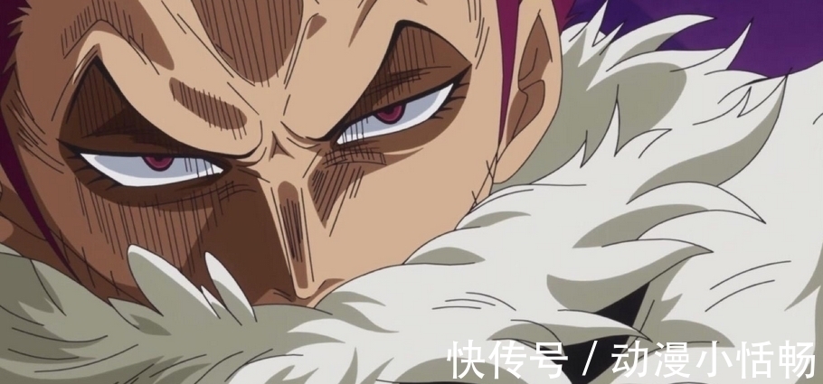 草帽海贼团|海贼里身体特征怪异的人很多,为何路飞不笑别人,却嘲笑琵卡