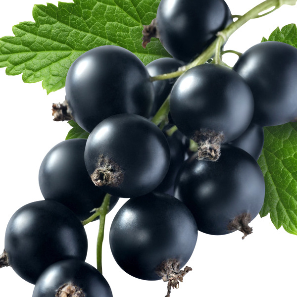 皱纹|女人手脚冰凉，每天吃一些，可以温补气血，防止皱纹、晒不黑