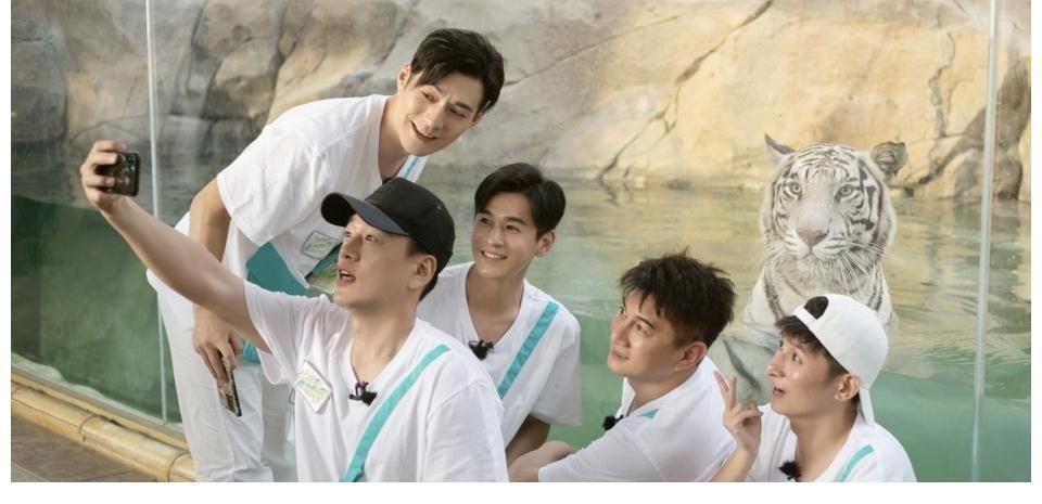 首播猛沖收視第一,這部“綜藝黑馬”憑什么這么橫?