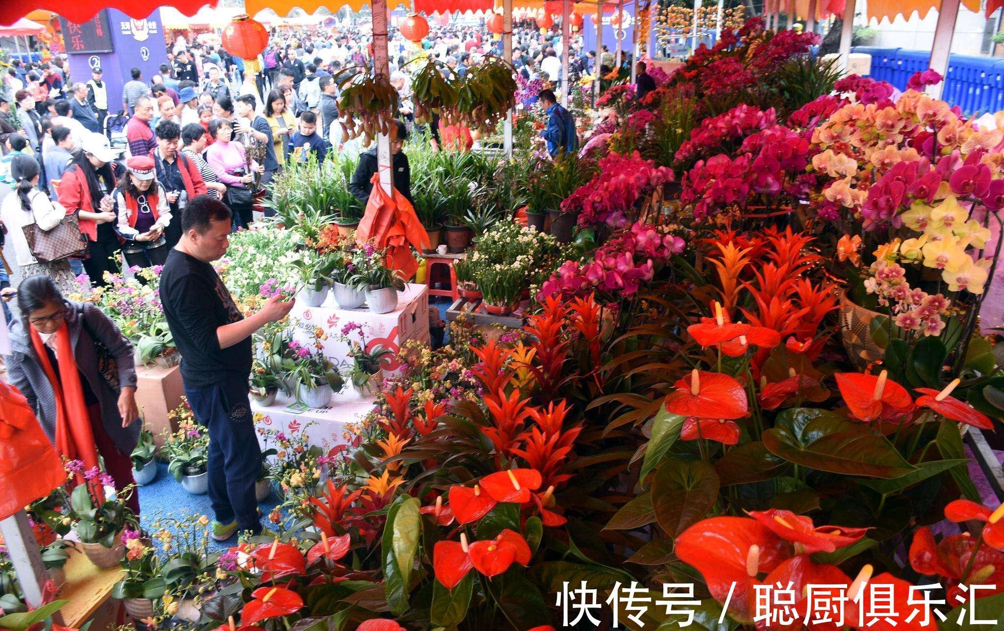 养花|逛花市的“小技巧”，低价花卉“随便淘”，大饱眼福又省钱