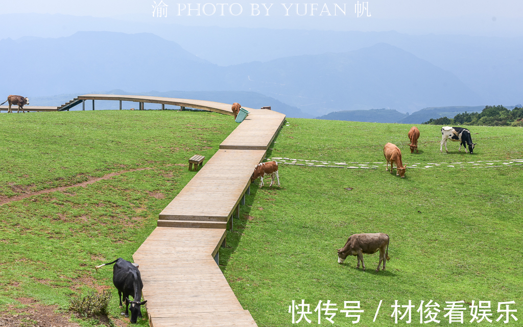 乌蒙山|游南方海拔最高的草原，感受凉都的盛夏清爽，品尝大山里的VC之王