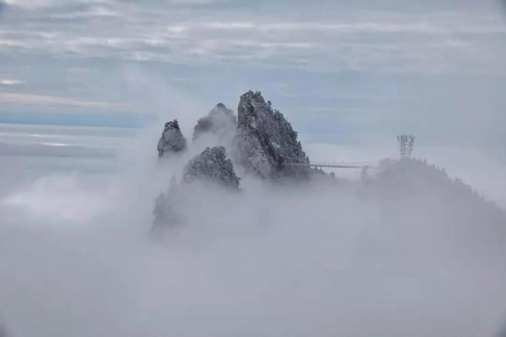 心间|老界岭的美，在眼前，在心间！