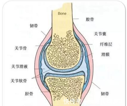 治好|7年滑膜炎被这两妙方治好了,红肿疼痛全消了,积液也没了!