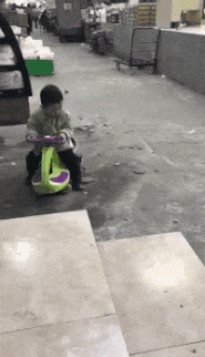 |搞笑GIF:第一次结婚没经验,岳父在上,小婿先干为敬