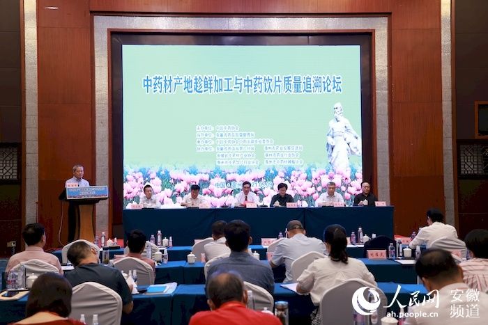 亳州市|2021亳州药博会：简约不简单 药都谱新篇