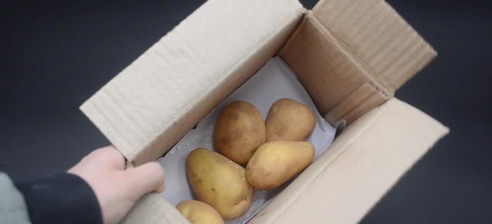 今天才知道,原来保存土豆这么简单,放半年不发芽不干瘪,真实用