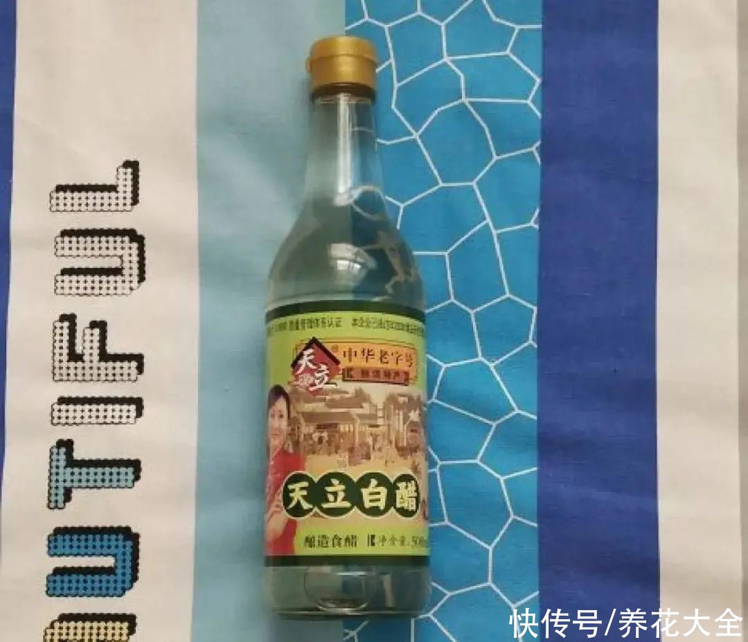 给花浇水掺点白醋,植物根比萝卜还粗,健壮不黄叶