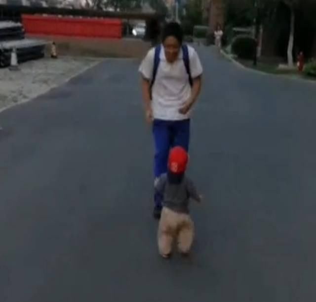 弟弟|每天弟弟都会接哥哥放学,兄弟俩见面时的场景,太让人感动了