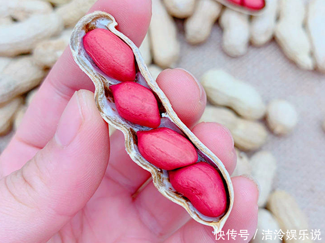 红皮|同样是花生，“红皮”和“白皮”的区别这么大知道后别再瞎买了