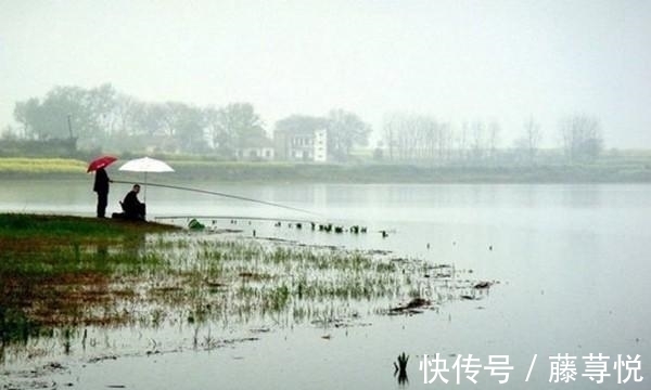 季节|早春钓鱼，这种天气才是“爆护”良机，遇上了一定别错过