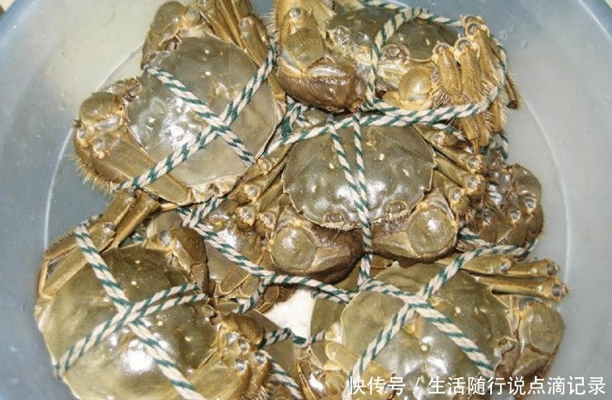 方法|保存螃蟹,不要直接放冰箱!老渔民教你简单方法,放7天还是活的