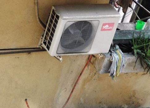 想要兰花叶子绿, 用这种水来浇, 养出的花美极了