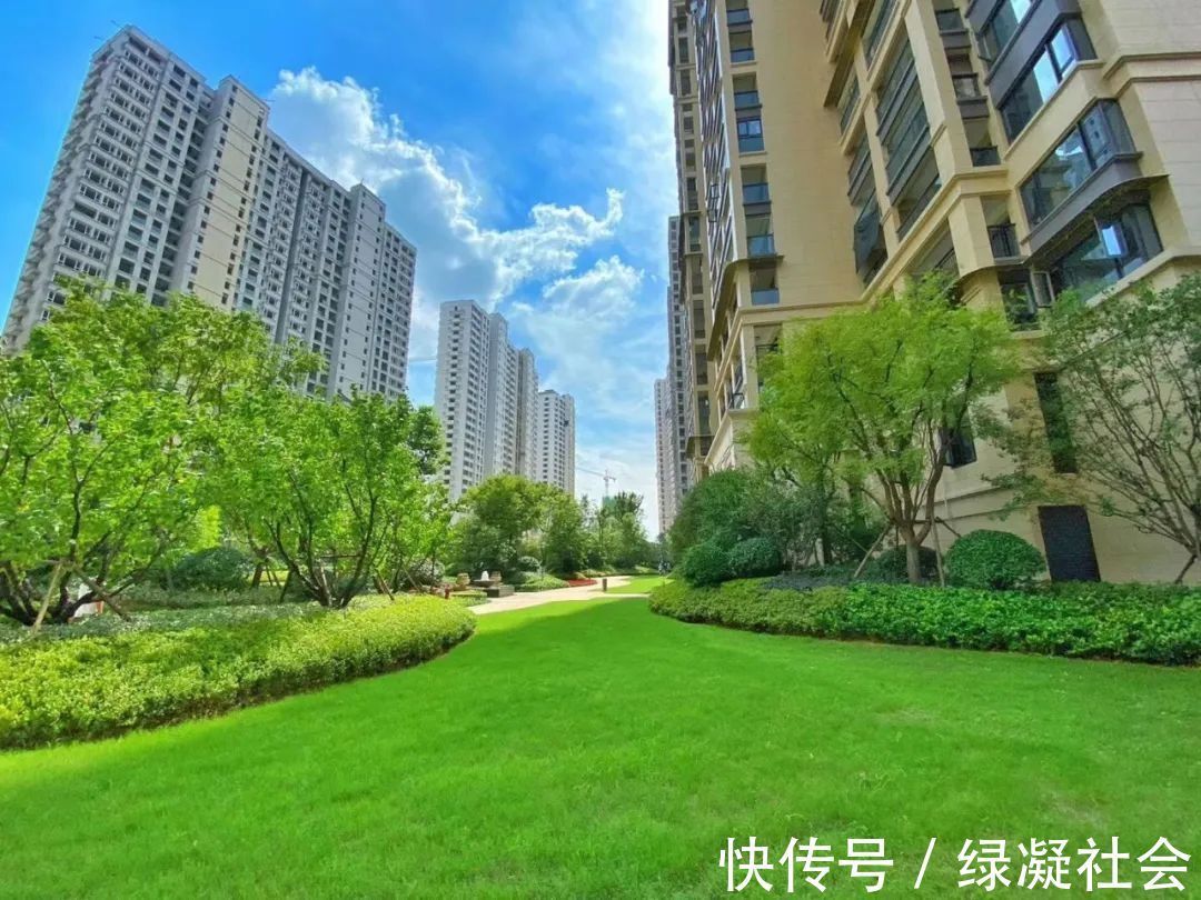 自然教育|99%的家长还不知道,“自然缺失症”正在毁掉孩子的童年